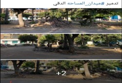 نظام الانقلاب يبدأ إزالة أشجار ميدان المساحة بالدقي