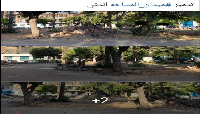 نظام الانقلاب يبدأ إزالة أشجار ميدان المساحة بالدقي
