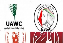 مسئولة أممية: تصنيف الاحتلال 6 مؤسسات فلسطينية بالإرهاب هجوم غير مبرر