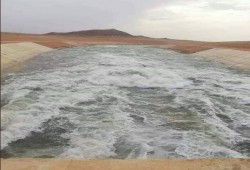 د. محمد حافظ: حكومة الانقلاب أهدرت 90% من تدفقات فيضان النيل في توشكى