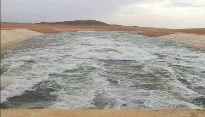 د. محمد حافظ: حكومة الانقلاب أهدرت 90% من تدفقات فيضان النيل في توشكى