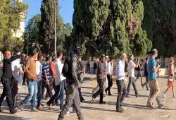 مستوطنون صهاينة يقتحمون المسجد الأقصى