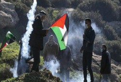 2021 عام المقاومة بالضفة والقدس.. (441) عملية مؤثرة
