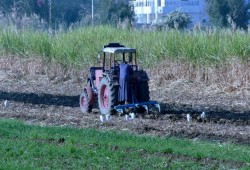 ارتفاع جديد لأسعار الأسمدة يفاقم أعباء المزارعين