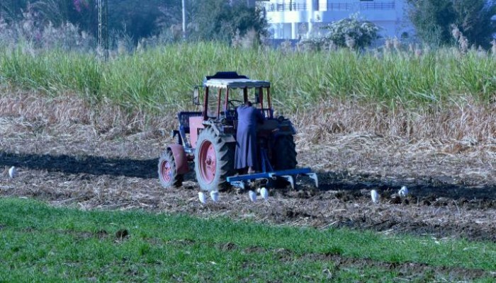 ارتفاع جديد لأسعار الأسمدة يفاقم أعباء المزارعين