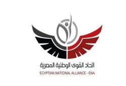 اتحاد القوى الوطنية: ثوره يناير وتضحيات الشعب الملهمة أمل للتغيير في مصر