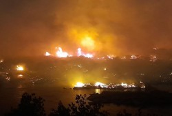 حريق يدمر محميتي سالوجا وغزال وسط نهر النيل بأسوان