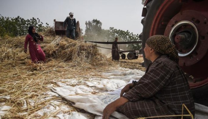 حظر تصدير الفول والعدس والدقيق والمكرونة