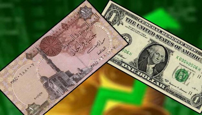 هبوط الجنيه المصري أمام الدولار يتصدر مواقع التواصل