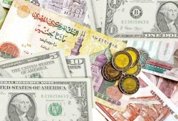 مصطفى عبد السلام: خفض الجنيه لن يحل عجز الميزانية وشح السيولة وأعباء الديون