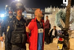 الاحتلال يطلق الرصاص وقنابل الصوت في باب العامود ويعتقل 4 فلسطينيين