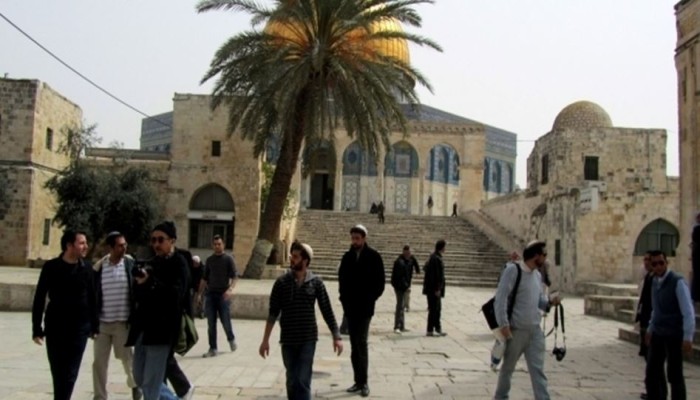 85 مستوطنا يدنسون المسجد الأقصى