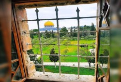 #المسجد_الأقصي يتصدر تويتر في مصر تضامنا مع مرابطي القدس