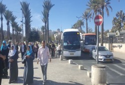 فلسطينيو الـ 48 يحرّكون قوافل الرباط وينظمون مظاهرات نصرة للأقصى