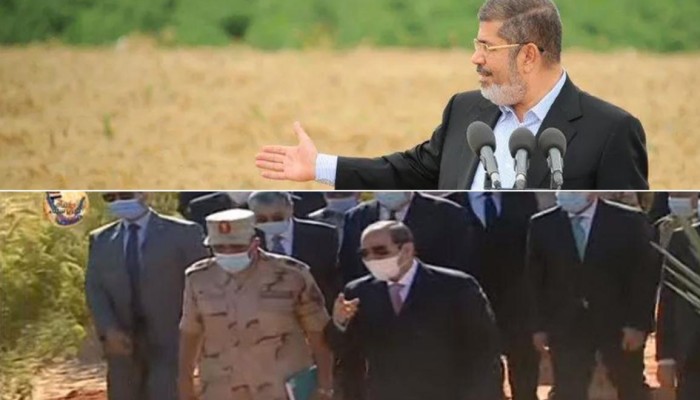 بين قمح مرسي وقمح ياسر جلال