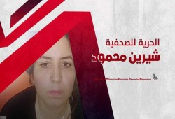 حبس الصحفية شيرين محمد وزوجها بعد استغاثتها بالسيسي من إجرام ضابط