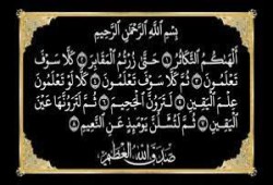 ألهاكم التكاثر