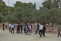 الصهاينة يدنسون الأقصى ويؤدون طقوسا تلمودية.. وإصابات بالضفة