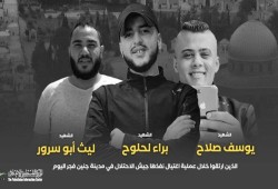 3 شهداء بجريمة اغتيال نفذتها قوات الاحتلال في جنين