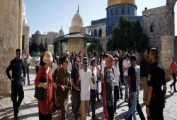 مجموعات من المستوطنين تقتحم باحات المسجد الأقصى