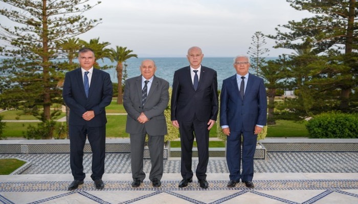 رئيس لجنة الدستور بتونس: نسخة سعيّد تمهد لنظام ديكتاتوري