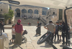 مستوطنون يقتحمون المسجد الأقصى بحماية قوات الاحتلال
