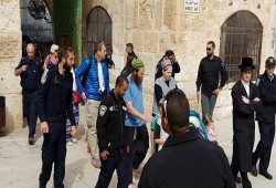عشرات المستوطنين يقتحمون الأقصى بحماية قوات الاحتلال