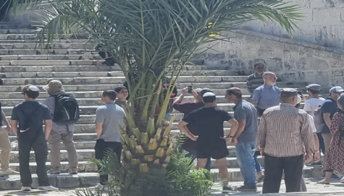مستوطنون صهاينة يقتحمون الأقصى