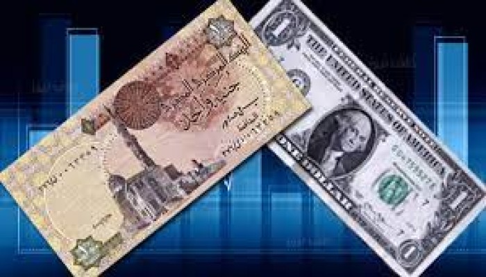 خبير اقتصادي: الدولار سيصل إلى نحو 25 جنيها مصريا