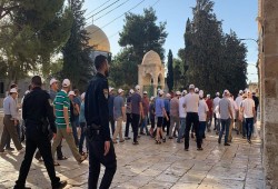عشرات المستوطنين يقتحمون المسجد الأقصى