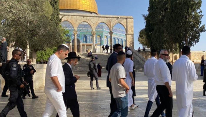 مستوطِنة صهيونية تنتهك حرمة الأقصى بالرقص والغناء