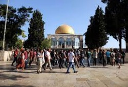 صهاينة يدنسون الأقصى ويحشدون لاقتحام كبير غدًا