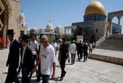 عشرات المستوطنين الصهاينة يقتحمون المسجد الأقصى