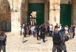 من جهة باب المغاربة … مستوطنون متطرفون يقتحمون باحات المسجد الأقصى