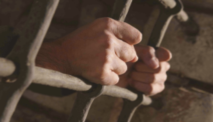 إطلاق عريضة للإفراج عن كل السجناء السياسيين في مصر