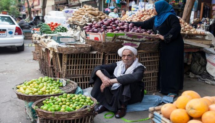 قفزة في أسعار الخضروات وتكاليف الزراعة في مصر