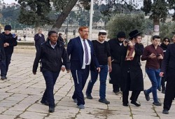عشرات الصهاينة يقتحمون الأقصى بقيادة الحاخام المتطرف جليك