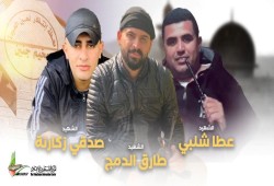 استشهاد 3 فلسطينيين برصاص الاحتلال في جنين