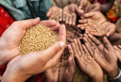 85% من المصريين خفضوا تناول اللحوم وقطار التضخم يصدم الفقراء