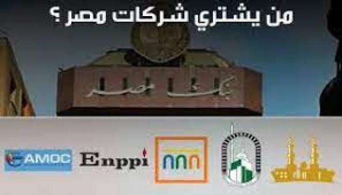 فرانس برس: المنح الخليجية لمصر توقفت وحان وقت الاستحواذ على الشركات الناجحة