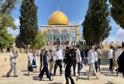 عشرات الصهاينة يقتحمون الأقصى بحماية قوات الاحتلال الصهيوني