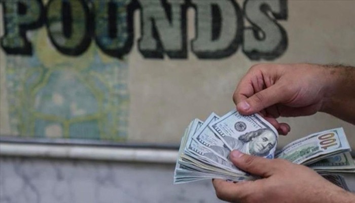 مصريون بالخارج يرفضون ضخ أموال في شركة الحكومة للاستثمار