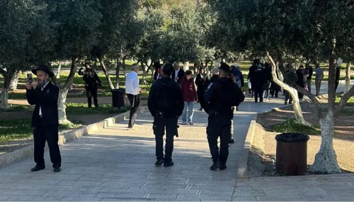 صهاينة يقتحمون الأقصى.. وحملة اعتقالات في الضفة