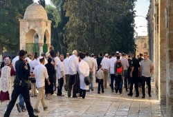1531 صهيونيا يدنسون المسجد الأقصى بحماية قوات الاحتلال
