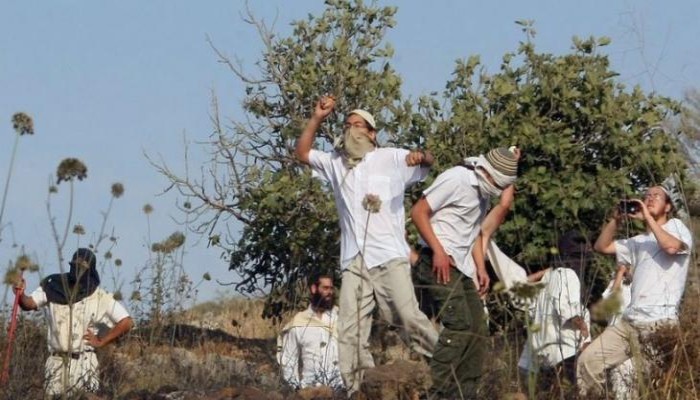 صهاينة يعتدون على شقيقين ويسرقون مركبتهما في رام الله