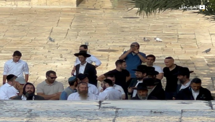 عشرات الصهاينة يقتحمون الأقصى.. ودعوات لتكثيف الرباط
