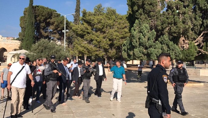 صهاينة يقتحمون الأقصى ودعوات مقدسية للحشد والرباط