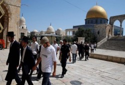 صهاينة يقتحمون الأقصى وينظمون جولات استفزازية
