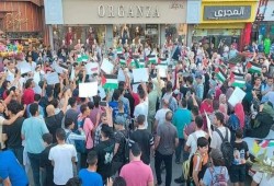 شرطة الانقلاب تفض مظاهرة داعمة لفلسطين بمحيط الأزهر وتعتقل محتجين