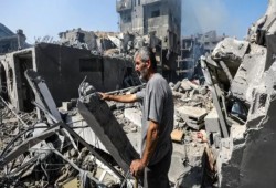فتاوى العلماء حول نصرة فلسطين